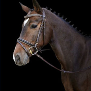 rênes, mors et bridons