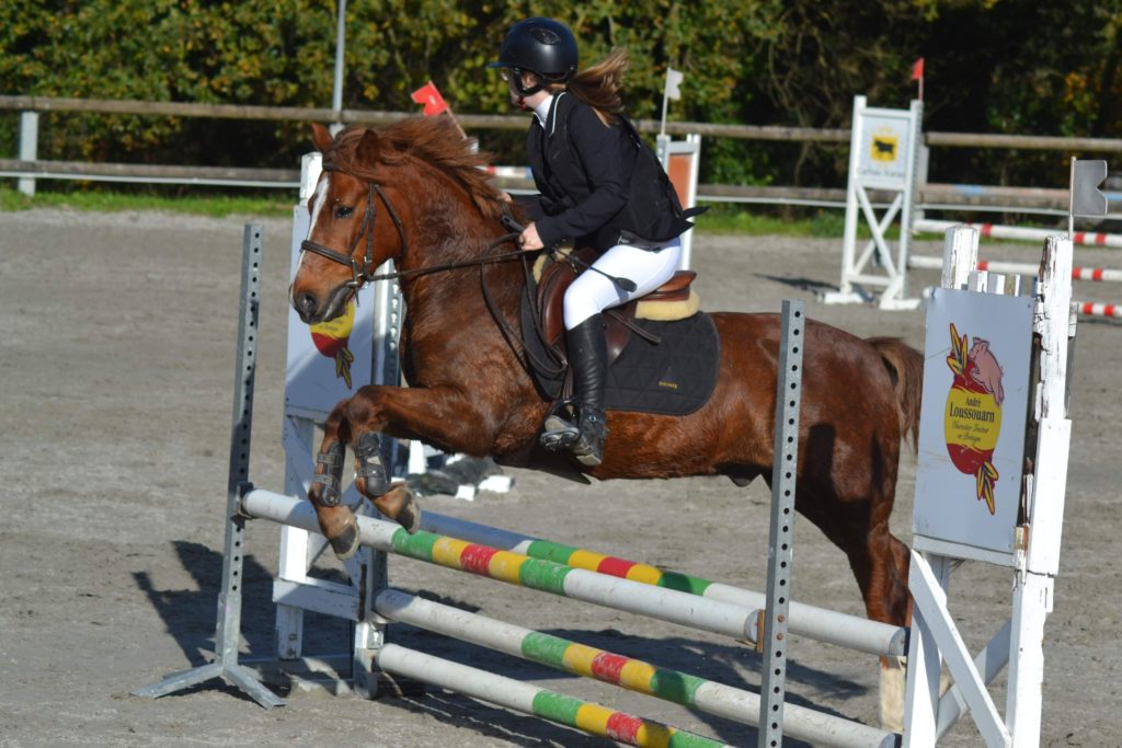 photo texte référencement