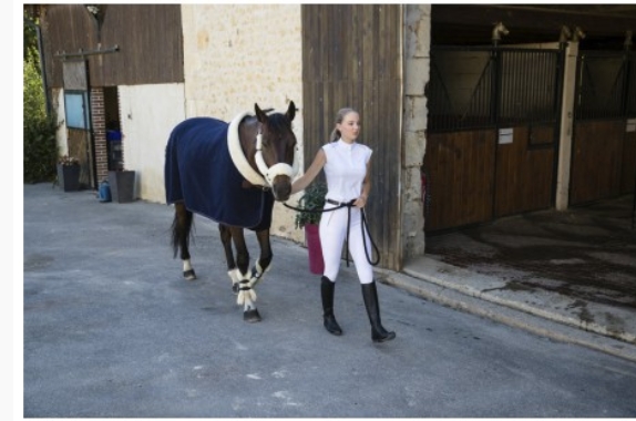 Capture d’écran_2-4-2025_141948_pro.ekkia.com