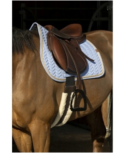 Capture d’écran_2-4-2025_142958_pro.ekkia.com