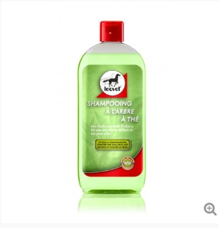 Capture d’écran_2-4-2025_162425_pro.ekkia.com