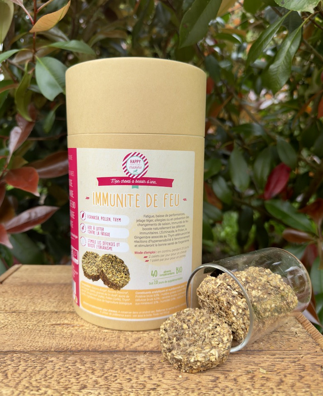 Capture d’écran 2025-05-09 163123