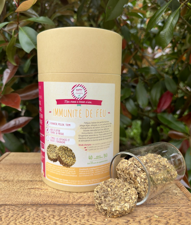 Capture d’écran 2025-05-09 164628