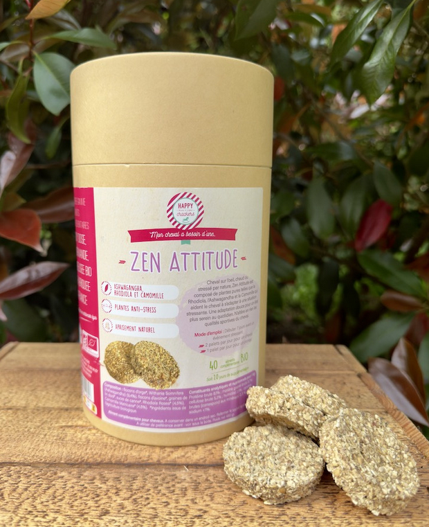 Capture d’écran 2025-05-09 164725